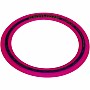 10" Aerobie Sprint Ring