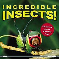Incredible Insects!