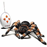Remote Control Tarantula