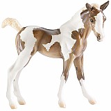 Takoda - Paint Foal