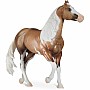 Big Chex to Cash Quarter Horse