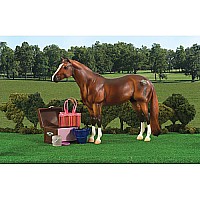 Show Grooming Kit
