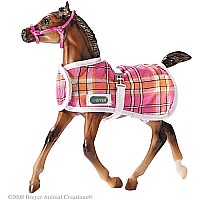 Foal Blanket -  with halter