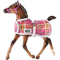 Foal Blanket -  with halter