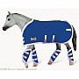 Blue Blanket and Shipping Boots