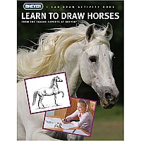 Learn To Draw Horses Kit