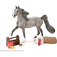 Horse Care Set