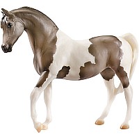 Grey Pinto Pintabian