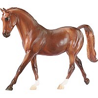 Dapple Chestnut Thoroughbred