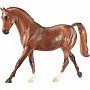 Dapple Chestnut Thoroughbred
