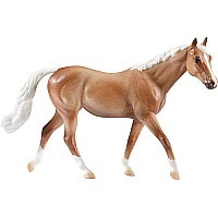 Palomino Appendix Quarter Horse