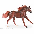 American Quarter Horse Stallion - Liver Chestnut