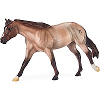 Bet Yer Blue Boons Quarter Horse-
