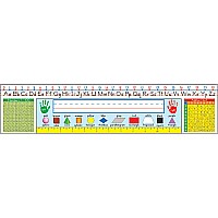 Traditional Manuscript: Grades 1-3