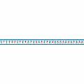 Student Number Lines