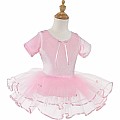 Ballet Tutu (pink, Sm-lg)