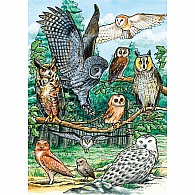 35 pc Tray Puzzle North American Owls