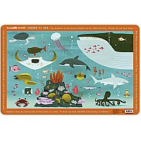 Placemat Under the Sea