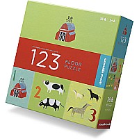 Boxed Floor Puzzle  123