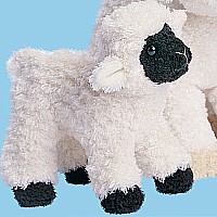 Clementine Lamb