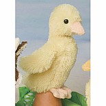 Slicker Baby Duck