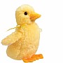 Slicker Baby Duck