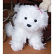 Babette Bichon
