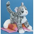 Grey Tabby Cat