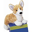 Munchee Corgi