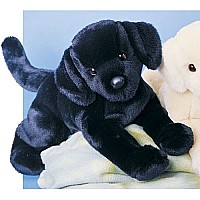 Chester Black Lab