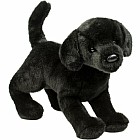 Chester Black Lab