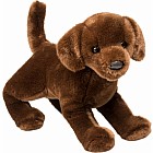 Cocoa Chocolate Lab