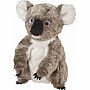 Aussie Koala