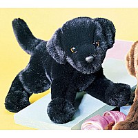 Brewster Black Lab