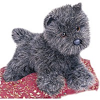 Cairn Terrier