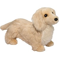 Golden Dachshund- Haisley