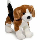 Bernie Beagle