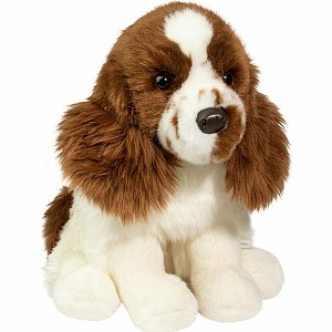 Chip Springer Spaniel
