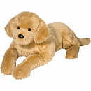 Sherman Golden Retriever