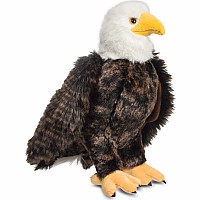 Adler Bald Eagle