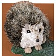Hillary Hedgehog