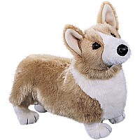 Chadwick Corgi