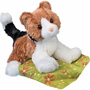Maps Calico Cat