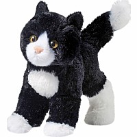 Snippy Black/ White Cat