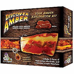 Discover Amber