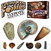 Explore Real Fossils  Ultimate Kit of 15