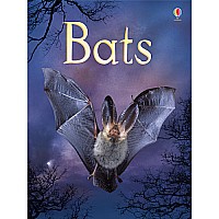 Bats Internet-Referenced