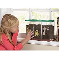 See-through Compost Container