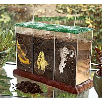 See-through Compost Container