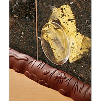 See-through Compost Container